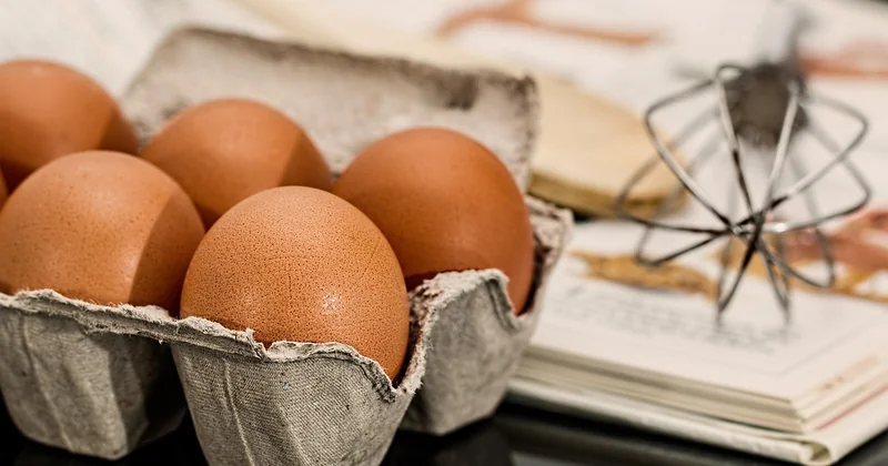 Recettes simples pour les fins de frigo