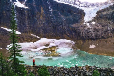 Solutions locales 2026 : comment agir efficacement contre le réchauffement climatique