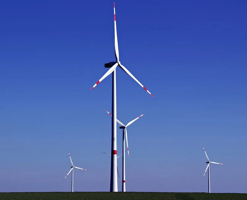 Les 3 piliers de la transition écologique – et pourquoi les ignorer vous coûtera cher