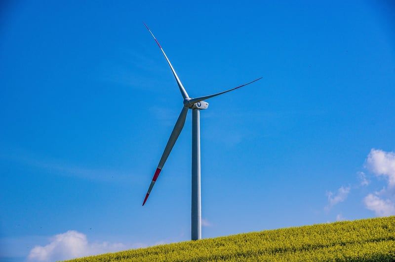 Intégrer la transition écologique dans sa stratégie d’entreprise en 2026