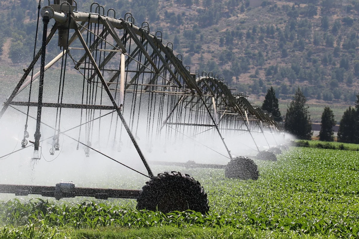 Les conséquences du changement climatique sur l'agriculture en 2026 : défis et solutions