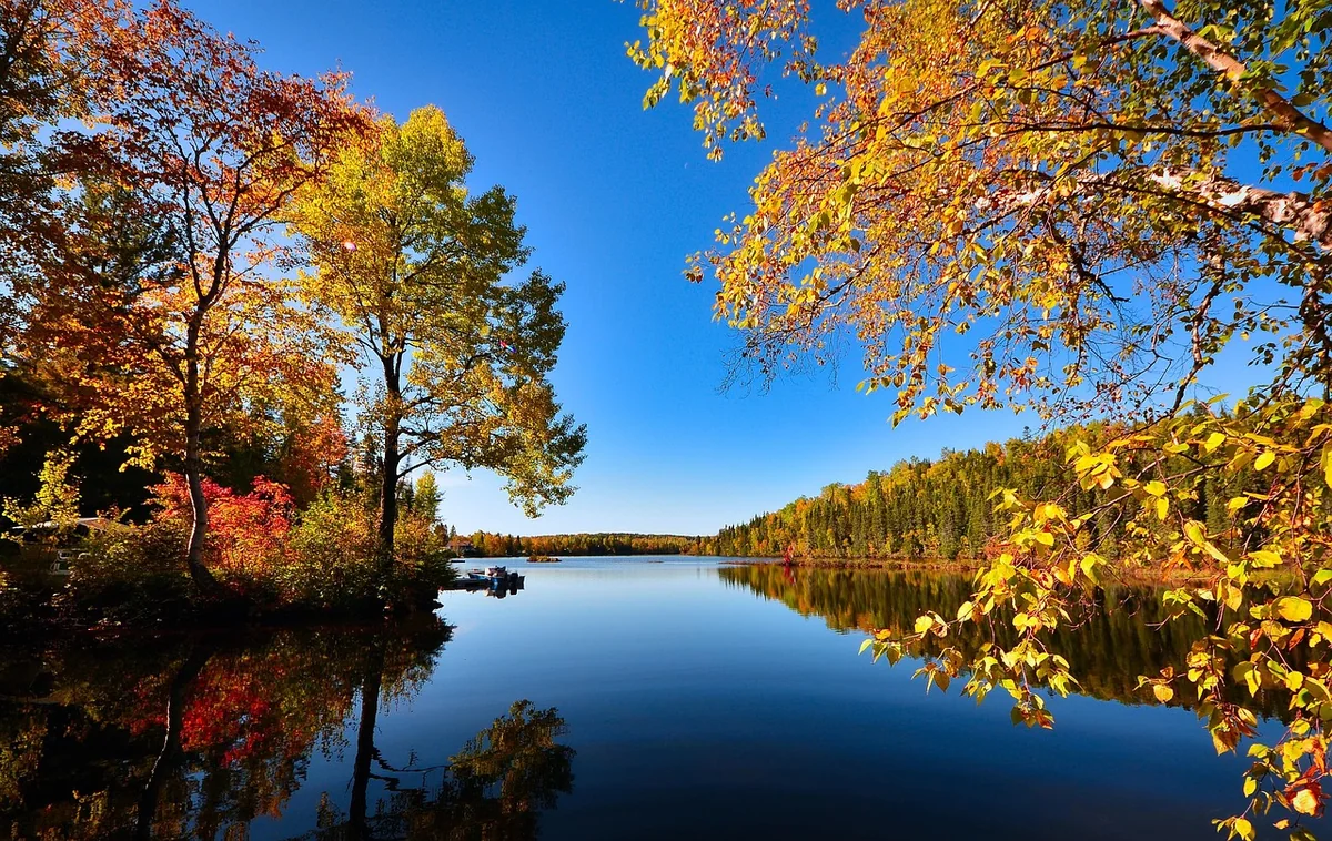 L'impact du changement climatique sur la biodiversité : 5 faits alarmants en 2026