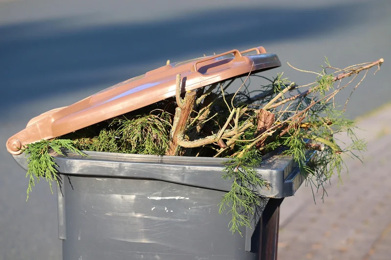Déchets : le pouvoir du réemploi